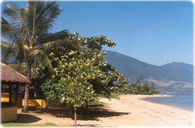 Praia Ilhabela
